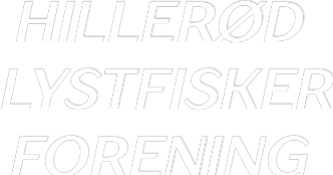 Custom Neon: HILLERØD
LY...