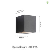 Down Square Udendørs Væglampe Sort