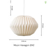 Moon Hexagon Ø42 Pendel