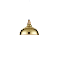 Oak Pendel Ø24 Blank Messing-Nordic Seasons-OutletLamper.dk