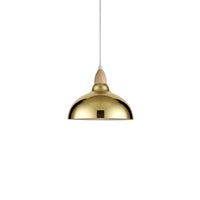 Oak Pendel Ø24 Blank Messing-Nordic Seasons-OutletLamper.dk