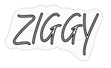 Custom Sign: ZIGGY-OutletLamper.dk-OutletLamper.dk